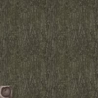 Asset preview